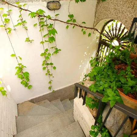 Apartament Marko *